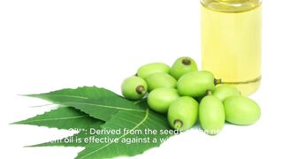 Effective strategies for controlling insect pests with natural insecticides