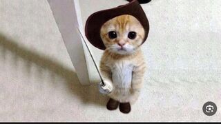 Funny Pets  2024???? Funny Dogs And Funny Cats Videos ???? ???? ????