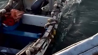 المينا