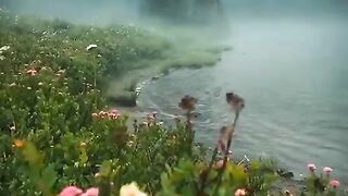 Natural video