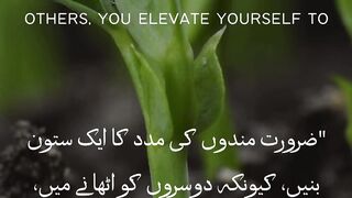 Be a pillar of support ????