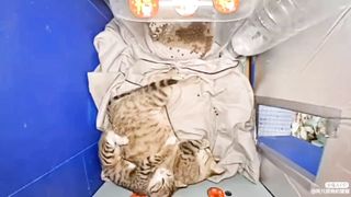 eeping with Mom????(eepy eepy eepy)