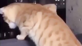 لما افتح الشباك عندنا????????