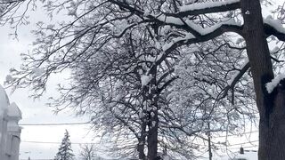 Snowing in newjersy