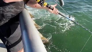 Massive Fish cacht