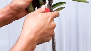 القران_الكريم