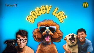 "Doggy LOLs: A Tail-Wagging Comedy!"