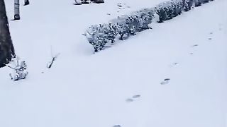 ثلوج مدينة افران