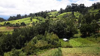 Green land