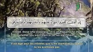 القران_الكريم