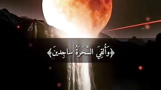 القران_الكريم
