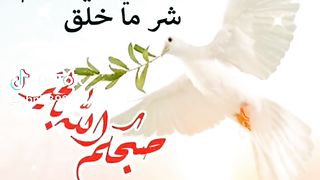 خلص الكلام
