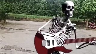 Skeleton