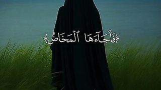 القران_الكريم