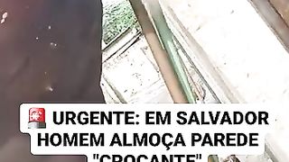 VOCE TA CERTO MEU AMOR O MUNDO TEM MUITO CONCRETO E POUCA COMIDA, QUE TAL TODOS COMERMOS PAREDE ASSIM NINGUEM PASSA FOME