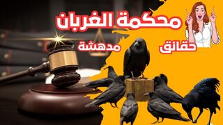 تعرف معنا على محكمة الغربان