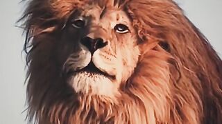 One and only the lion