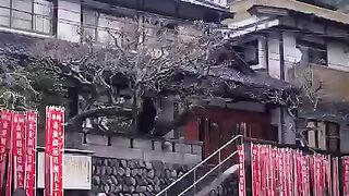 Trip and traveling