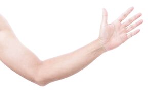 A for arm b for bone c for Chin