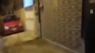 Funny videos