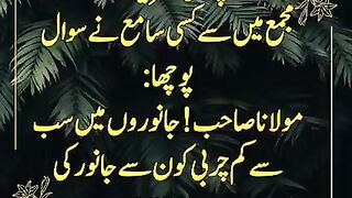 Sab sa kab charbi wala janwar konsa ha ?