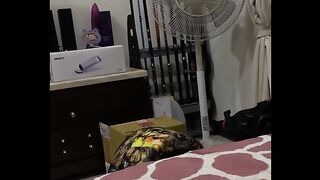 Funny cats life