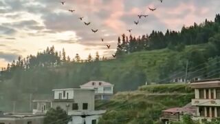Beautiful view of nature