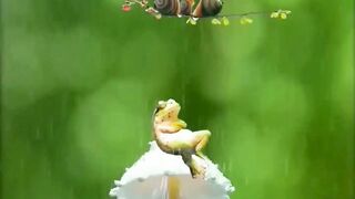 Beautiful view of nature