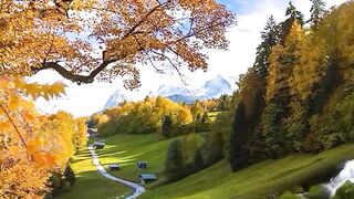 Beautiful view of nature