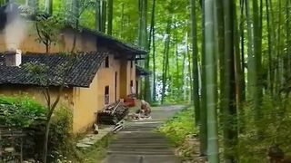 Beautiful view of nature
