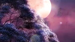 Beautiful view of nature