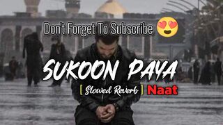 سکون پایا ہے بے کسی میں