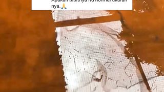 Ini salah satu penyebab ikan lele ukurannya tidak sama rata