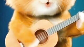 Cute cat