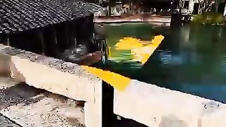 Respect video 9