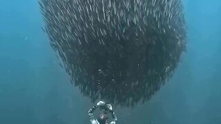 Wonders of Nature