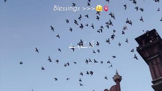 Rozy ki badly allah .
