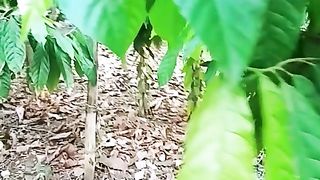 Jardin clonale