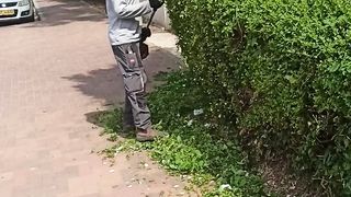 من اعمالي في تقليم وقص الاشجار وعملها اشكال