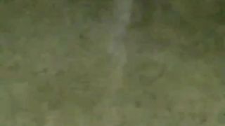 Pembenihan lele dikolam beton❗Apa kendala terberat yang kalian alami