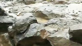 Alkggo