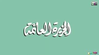 مغامرات سندباد الحلقة 2 (الجزيرة العائمة) - جودة عالية
