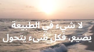 لا شيء في الطبيعة يضيع، فكل شيء يتحول