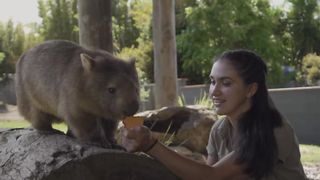 Are wombats friendly_ Fun facts! 4