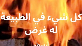 كل شيء في الطبيعة له غرد