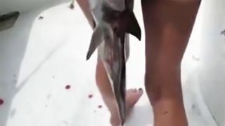 Hungry fish