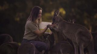 This girl is the Kangaroo whisperer