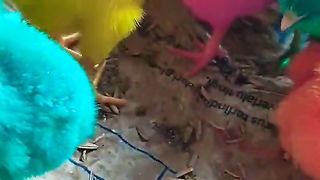 World Cute Chickens, Colorful Chickens, Rainbows Chickens, Cute Ducks, Cat, Rabbits, Cute Animals