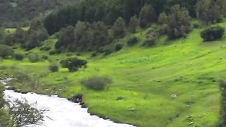 الراحه النفسيه