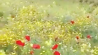 ربيع سوريه